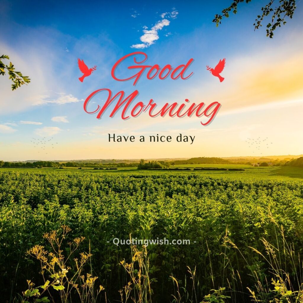 good morning messages, morning wishes